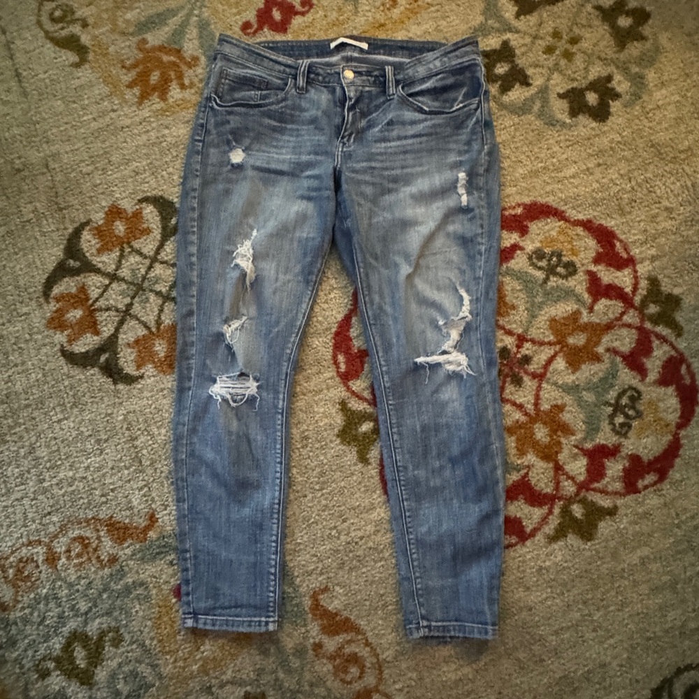 Day trip 31 - from the buckle